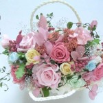 Thumbnail of post image 016