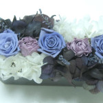 Thumbnail of post image 046