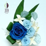 Thumbnail of post image 080