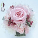 Thumbnail of post image 108