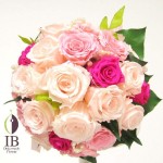 Thumbnail of post image 180