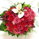 Thumbnail of post image 164