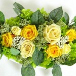 Thumbnail of post image 177