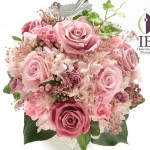 Thumbnail of post image 193