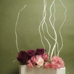 Thumbnail of post image 158