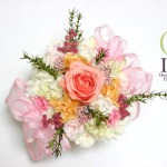 Thumbnail of post image 129