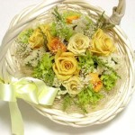 Thumbnail of post image 048