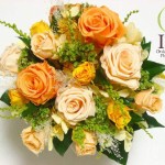 Thumbnail of post image 086