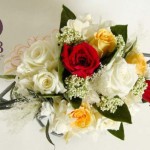 Thumbnail of post image 038