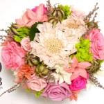 Thumbnail of post image 174