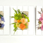 Thumbnail of post image 012