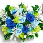 Thumbnail of post image 017