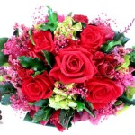 Thumbnail of post image 100