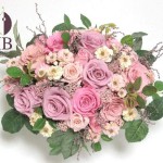 Thumbnail of post image 044