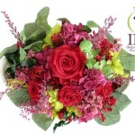 Thumbnail of post image 046