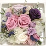 Thumbnail of post image 013