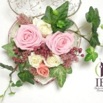 Thumbnail of post image 137