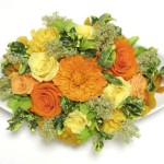 Thumbnail of post image 108