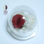 Thumbnail of post image 050