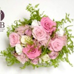 Thumbnail of post image 012