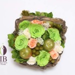 Thumbnail of post image 019