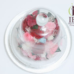 Thumbnail of post image 062