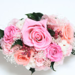 Thumbnail of post image 075