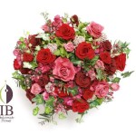 Thumbnail of post image 164