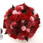 Thumbnail of post image 080