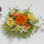 Thumbnail of post image 116