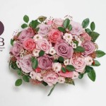 Thumbnail of post image 129