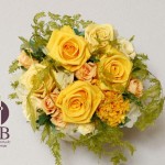 Thumbnail of post image 069