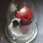 Thumbnail of post image 055