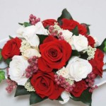 Thumbnail of post image 073