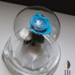 Thumbnail of post image 037