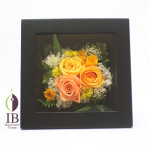 Thumbnail of post image 143