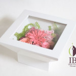 Thumbnail of post image 115