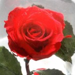 Thumbnail of post image 007