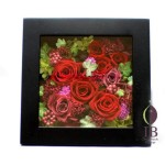 Thumbnail of post image 022