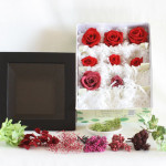 Thumbnail of post image 009