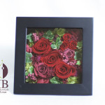 Thumbnail of post image 046