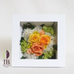 Thumbnail of post image 176