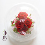 Thumbnail of post image 004