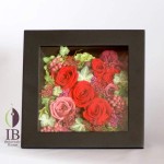 Thumbnail of post image 160