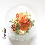 Thumbnail of post image 031