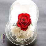 Thumbnail of post image 076