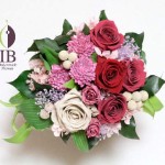 Thumbnail of post image 066