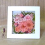 Thumbnail of post image 015