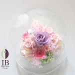 Thumbnail of post image 061