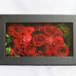 Thumbnail of post image 007